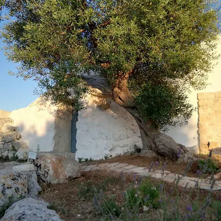 Torre Cappa Con Piscina Ad Uso Esclusivo 乡村民宿
